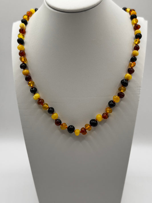 Amber Adults Polish Multi Baroque Necklace